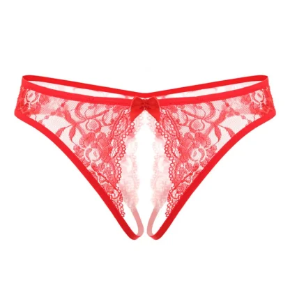 Sheer Lace Open Crotch Panties - Image 3